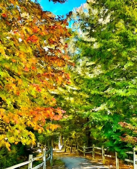 The path into Greenwood park showing fall colors